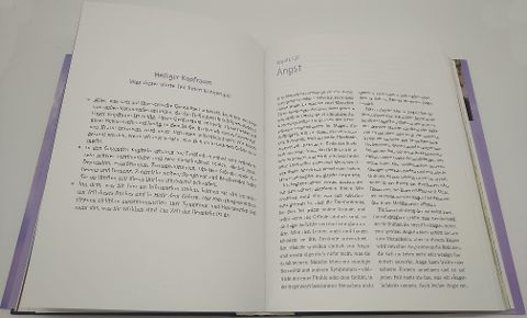 InsideView 8