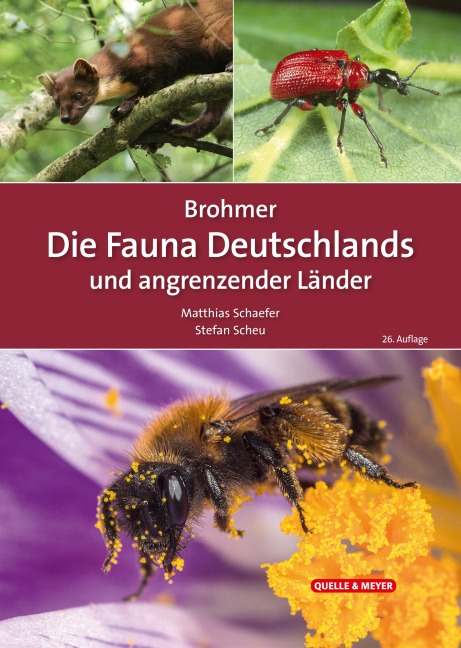 Brohmer - Die Fauna Deutschlands und angrenzender Länder - 