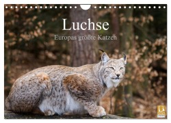 Cover-Bild zum Titel 'Luchse - Europas größte Katzen (Wandkalender 2026 DIN A4 quer), CALVENDO Monatskalender' von 'Cloudtail Cloudtail'