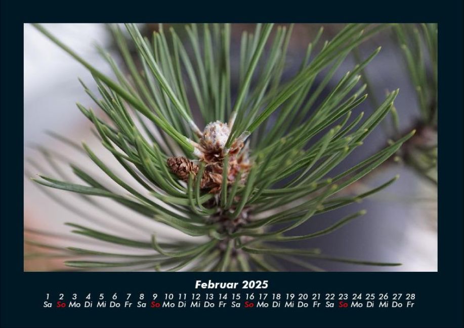 InsideView 6