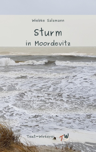 Sturm in Moordevitz - Wiebke Salzmann