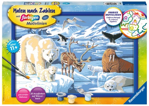 Tiere der Arktis Malen nach Zahlen Serie C - 