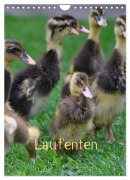 Cover-Bild zum Titel 'Laufenten (Wandkalender 2026 DIN A4 hoch), CALVENDO Monatskalender' von 'LoRo-Artwork LoRo-Artwork'