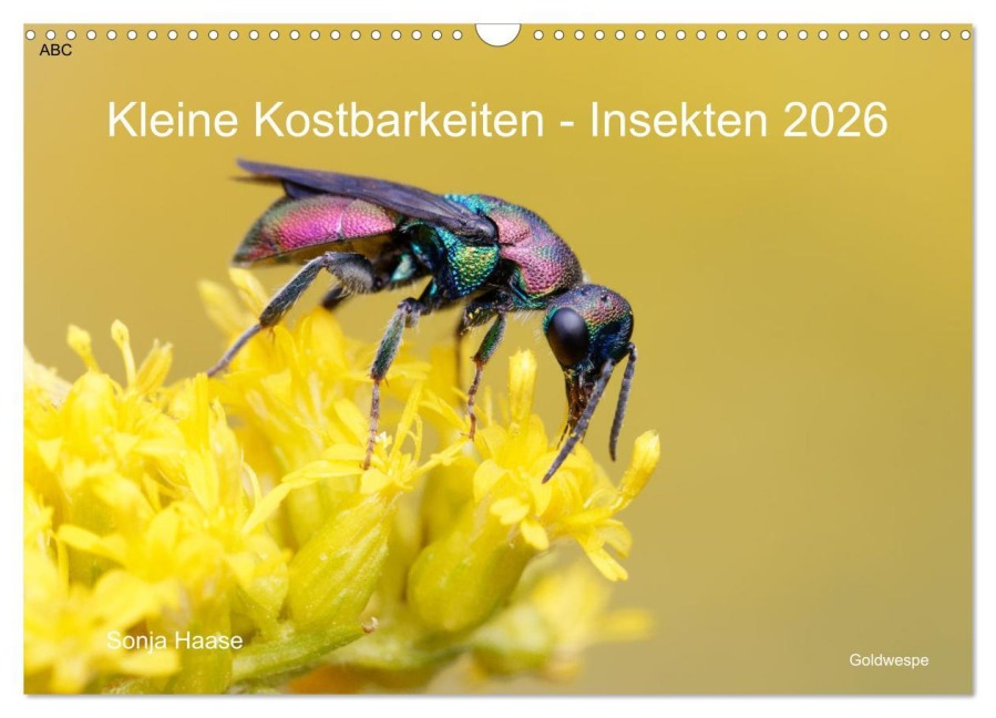 Kleine Kostbarkeiten Insekten (Wandkalender 2026 DIN A3 quer), CALVENDO Monatskalender - Sonja Haase