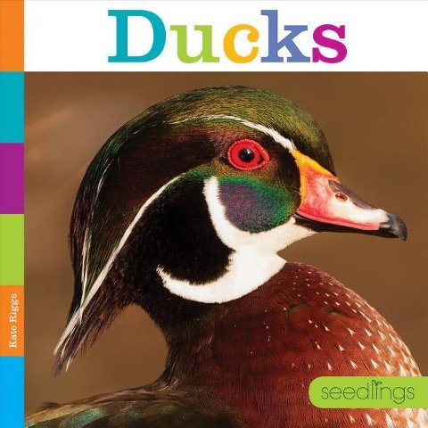 Ducks - Kate Riggs