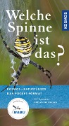 Cover-Bild zum Titel 'Welche Spinne ist das?' von 'Martin Baehr'