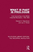 Cover-Bild zum Titel 'What is Past is Prologue' von 'Richard K. Fleischman, Lee Parker'