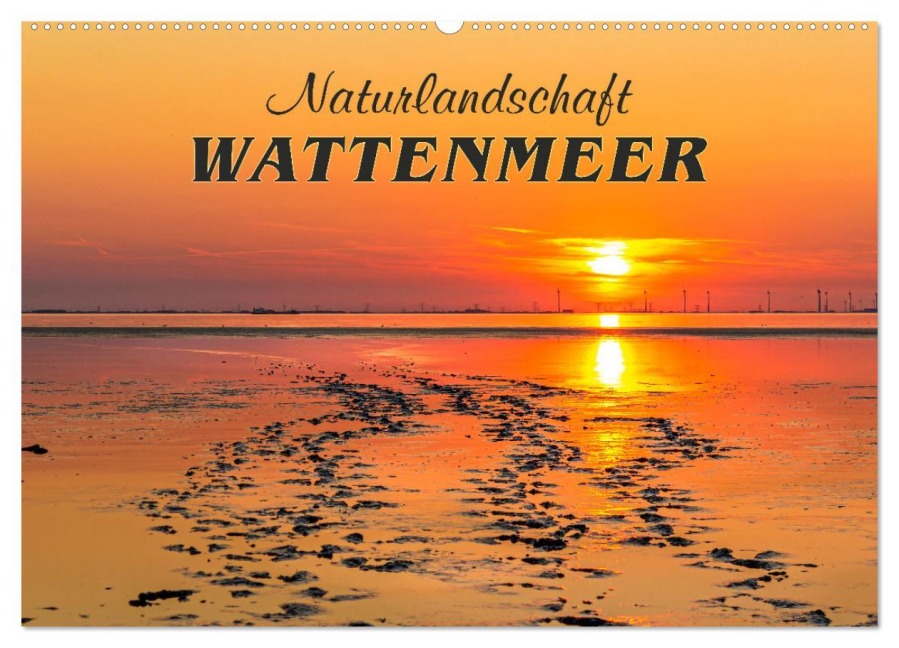 Naturlandschaft WATTENMEER (Wandkalender 2025 DIN A2 quer), CALVENDO Monatskalender - Andrea Dreegmeyer