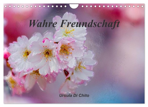 Wahre Freundschaft (Wandkalender 2024 DIN A4 quer), CALVENDO Monatskalender - Ursula Di Chito