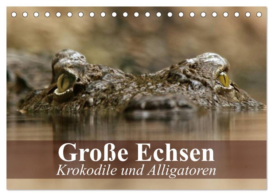 Große Echsen. Krokodile und Alligatoren (Tischkalender 2026 DIN A5 quer), CALVENDO Monatskalender - Elisabeth Stanzer