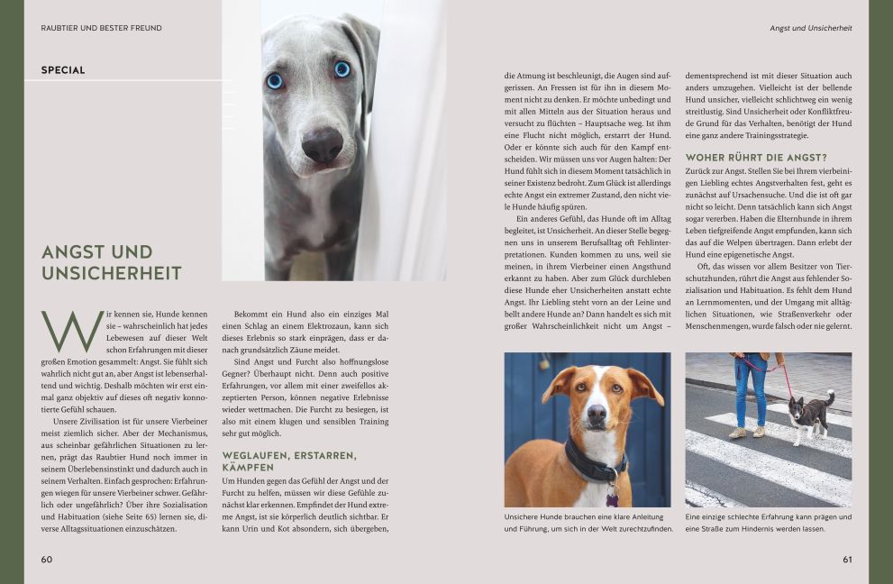 InsideView 5