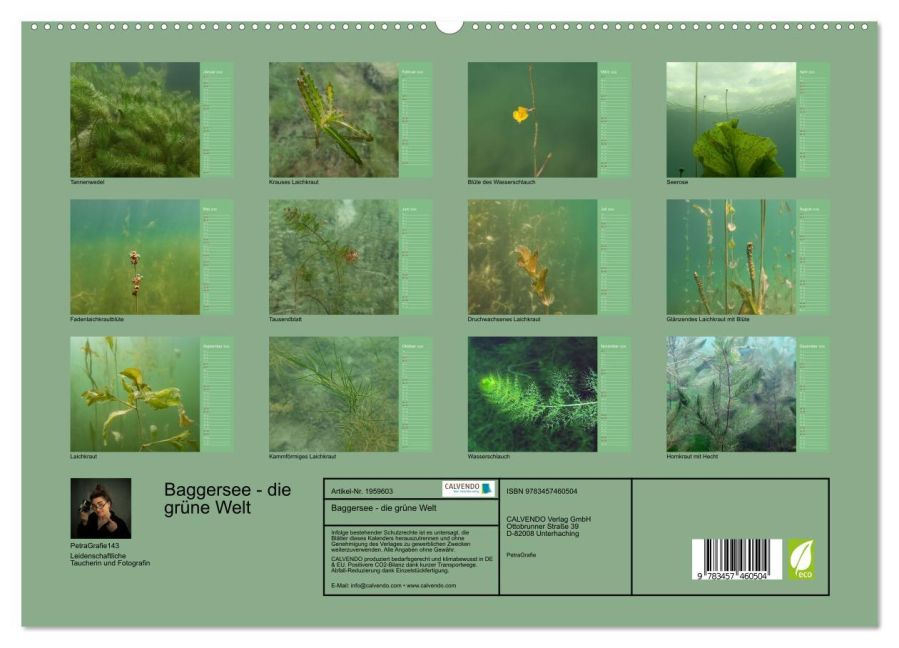 InsideView 4