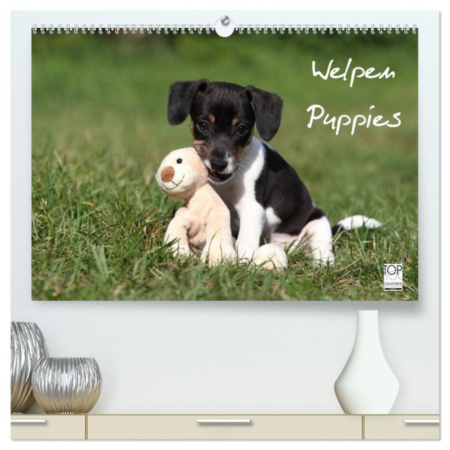 Welpen - Puppies (hochwertiger Premium Wandkalender 2026 DIN A2 quer), Kunstdruck in Hochglanz - Jeanette Hutfluss
