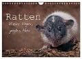 Ratten. Kleine Nager, großes Herz. (Wandkalender 2025 DIN A4 quer), CALVENDO Monatskalender - Thorsten Nilson