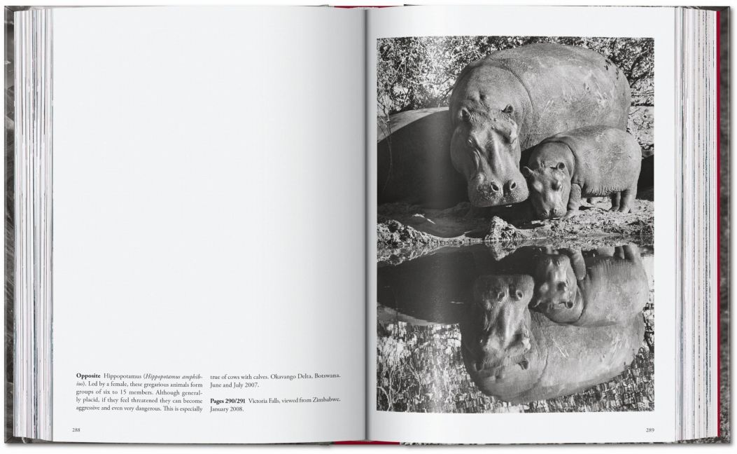 InsideView 15