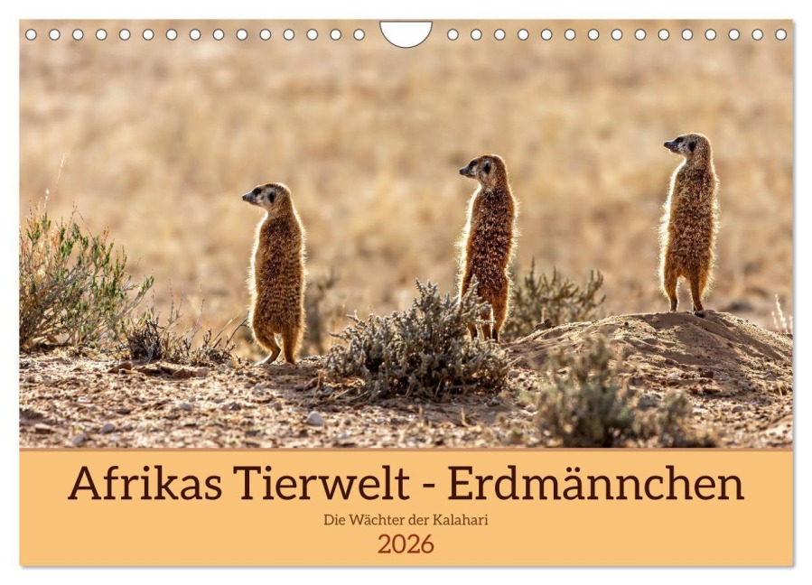Afrikas Tierwelt - Erdmännchen (Wandkalender 2026 DIN A4 quer), CALVENDO Monatskalender - Michael Voß