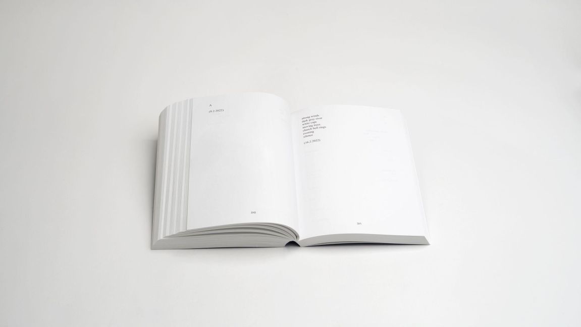 InsideView 11