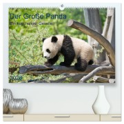 Der Große Panda Ein kuscheliger Geselle (hochwertiger Premium Wandkalender 2026 DIN A2 quer), Kunstdruck in Hochglanz - Prime Selection