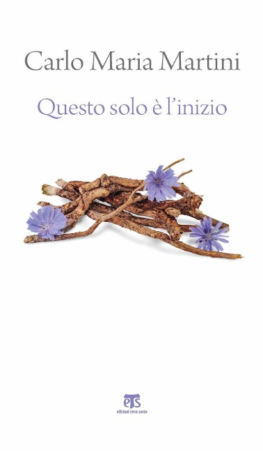 Questo solo è l'inizio. Dalla Terra Santa alla vita di ogni giorno - Carlo Maria Martini