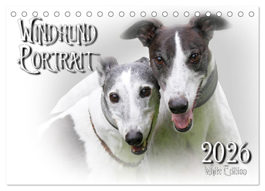Windhund Portrait 2026 White Edition (Tischkalender 2026 DIN A5 quer), CALVENDO Monatskalender - Andrea Redecker