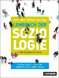 Cover-Bild zum Titel 'Staat, Herrschaft und Demokratie' von 'Stephan Lessenich, Claus Offe'