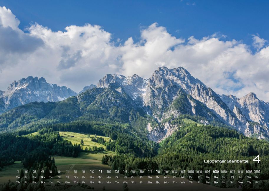 InsideView 4