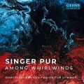 Cover-Bild zum Titel 'Among Whirlwinds' von 'Singer Pur'