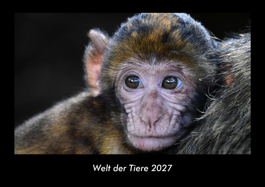 Welt der Tiere 2027 Fotokalender DIN A3 - Tobias Becker