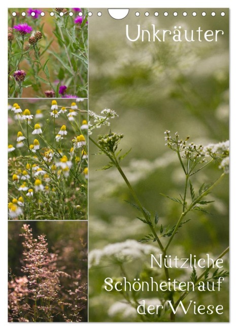 Unkräuter - Nützliche Schönheiten auf der Wiese (Wandkalender 2026 DIN A4 hoch), CALVENDO Monatskalender - Drachenkind-Fotografie Drachenkind-Fotografie