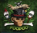 Cover-Bild zum Titel 'Voodoo' von 'Hurley & Die Pulveraffen'