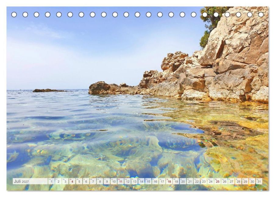 InsideView 12