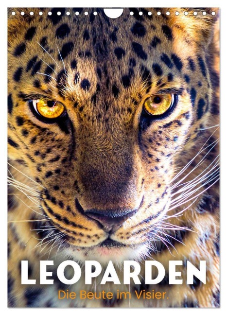 Leoparden - Die Beute im Visier. (Wandkalender 2027 DIN A4 hoch), CALVENDO Monatskalender - Happy Monkey