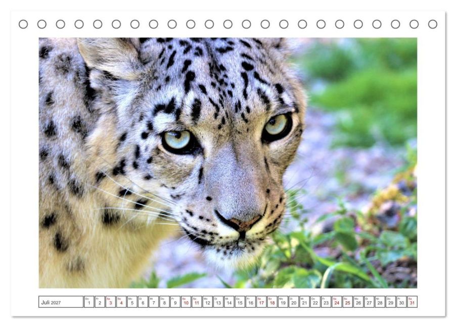InsideView 12