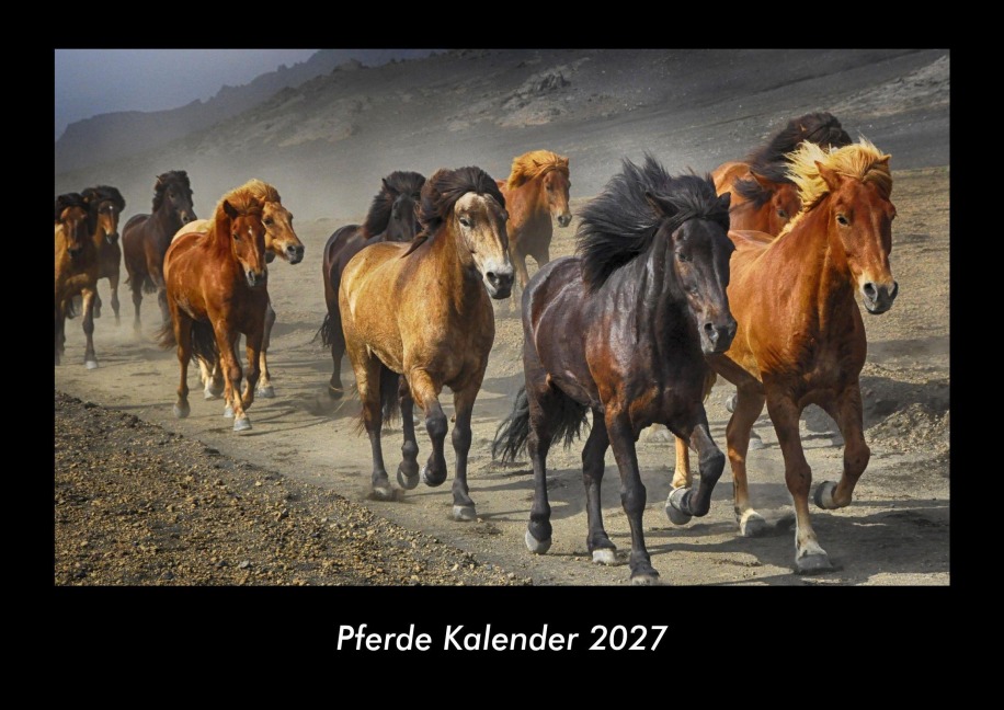 Pferde Kalender 2027 Fotokalender DIN A3 - Tobias Becker