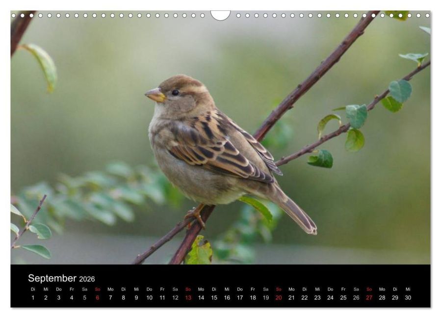 InsideView 14