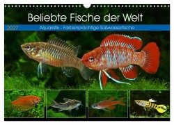 Cover-Bild zum Titel 'Beliebte Fische der Welt (Wandkalender 2027 DIN A3 quer), CALVENDO Monatskalender' von 'Rudolf Pohlmann'