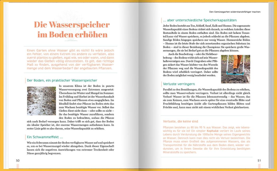 InsideView 4
