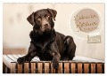 Labrador Retriever - Vielfalt auf Vier Pfoten (Wandkalender 2024 DIN A2 quer), CALVENDO Monatskalender - Sabrina Wobith Photography