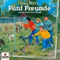 Cover-Bild zum Titel '124/auf der Suche nach Timmy' von 'Fünf Freunde'