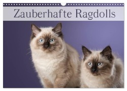 Cover-Bild zum Titel 'Zauberhafte Ragdolls / Geburtstagskalender (Wandkalender 2026 DIN A3 quer), CALVENDO Monatskalender' von 'Nicole Noack'