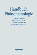 Cover-Bild zum Titel 'Handbuch Phänomenologie' von ''