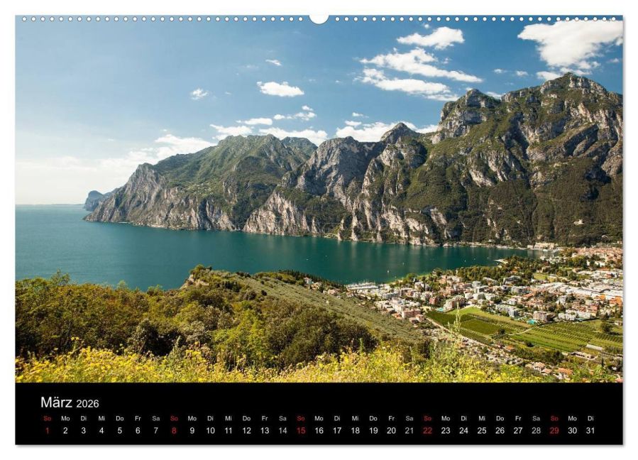InsideView 8
