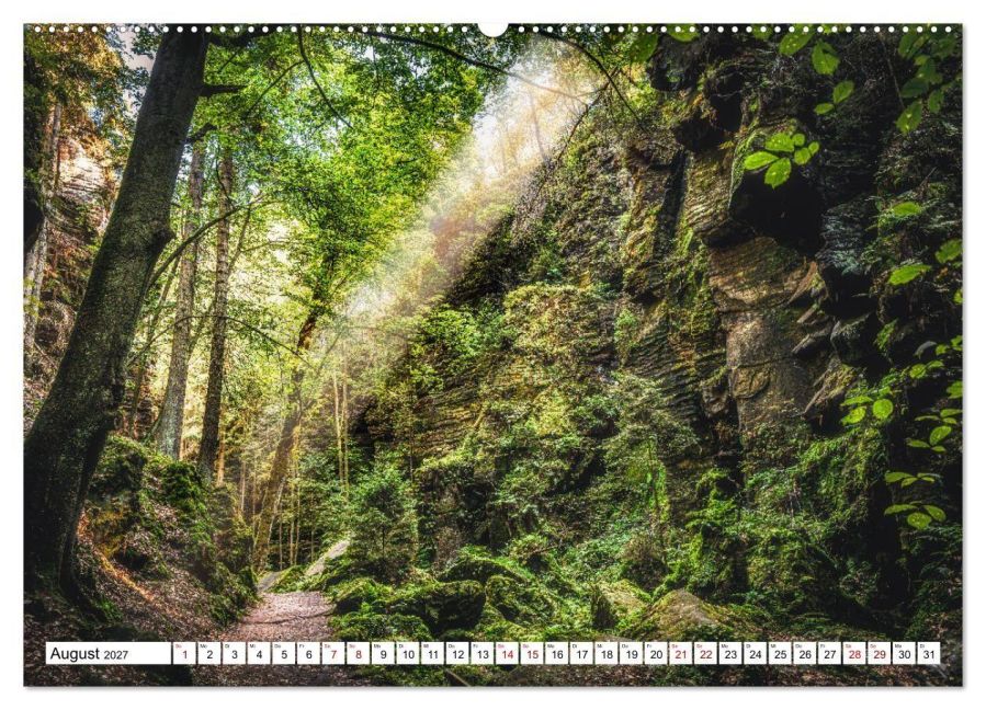 InsideView 13
