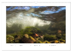 Cover-Bild zum Titel 'Unter Wasser in Bächen und Flüssen (Wandkalender 2026 DIN A3 quer), CALVENDO Monatskalender' von 'Martin Sczyrba'