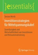 Investitionsstrategien für Mittelspannungskabel - Torsten Werth