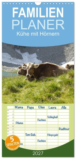 Familienplaner 2027 - Kühe mit Hörnern mit 5 Spalten (Wandkalender, 21 x 45 cm) CALVENDO - Stefanie Goldscheider