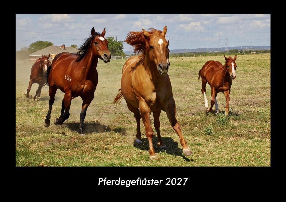Pferdegeflüster 2027 Fotokalender DIN A3 - Tobias Becker