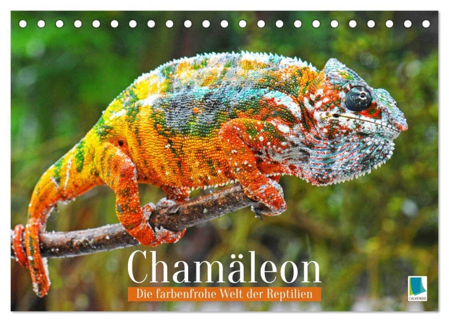 Chamäleon: Die farbenfrohe Welt der Reptilien (Tischkalender 2026 DIN A5 quer), CALVENDO Monatskalender - Calvendo Calvendo