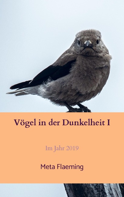 Vögel in der Dunkelheit I - Meta Flaeming