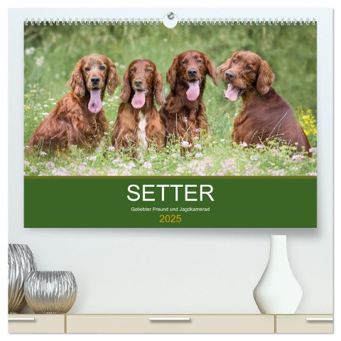 Setter - Geliebter Freund und Jagdkamerad (hochwertiger Premium Wandkalender 2025 DIN A2 quer), Kunstdruck in Hochglanz - Andrea Mayer Tierfotografie